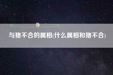 与猪不合的属相(什么属相和猪不合)