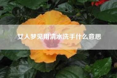 女人梦见用清水洗手什么意思