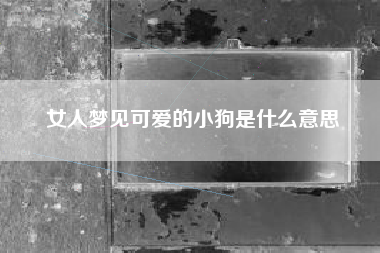 女人梦见可爱的小狗是什么意思