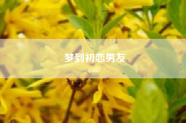 梦到初恋男友