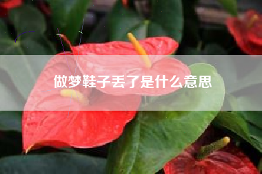 做梦鞋子丢了是什么意思