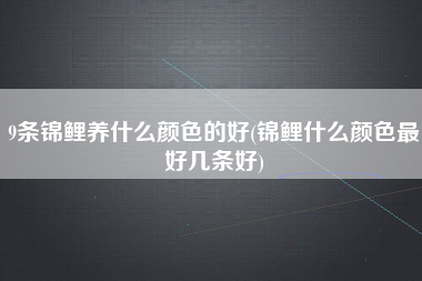 9条锦鲤养什么颜色的好(锦鲤什么颜色最好几条好)