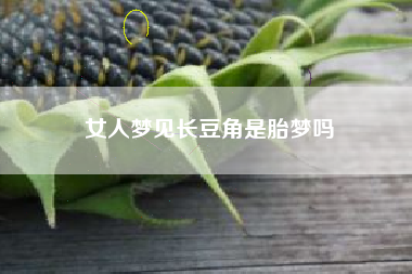 女人梦见长豆角是胎梦吗