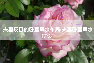 夫妻反目的卧室风水布局(夫妻卧室风水摆设)