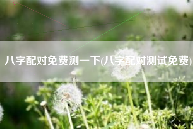 八字配对免费测一下(八字配对测试免费)