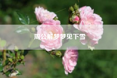 周公解梦梦见下雪
