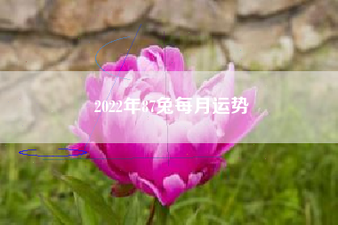 2022年87兔每月运势