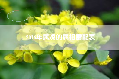 2016年属鸡的属相婚配表