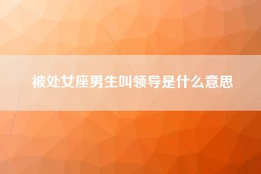 被处女座男生叫领导是什么意思