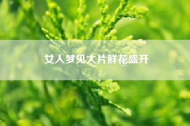 女人梦见大片鲜花盛开