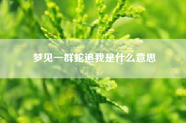 梦见一群蛇追我是什么意思