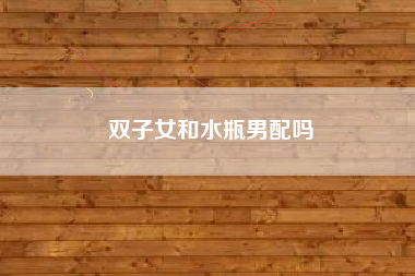 双子女和水瓶男配吗