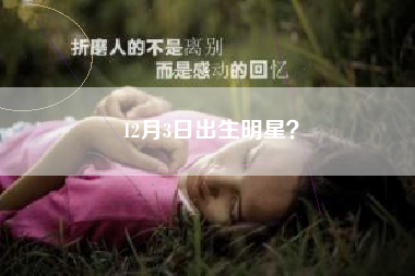 12月3日出生明星？
