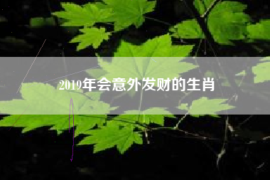 2019年会意外发财的生肖