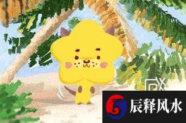 属虎