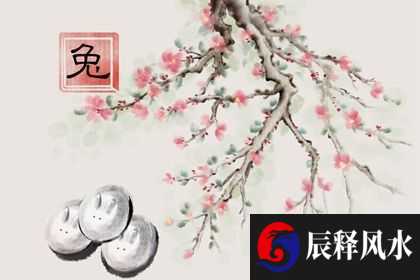 2023年属兔的是什么命 水兔命格随遇而安
