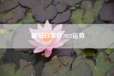 属马白羊座2022运势