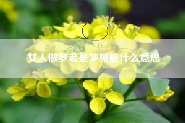 女人做梦老是梦见蛇什么意思