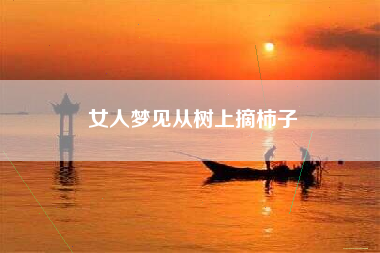 女人梦见从树上摘柿子