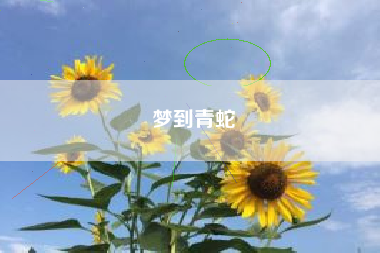 梦到青蛇