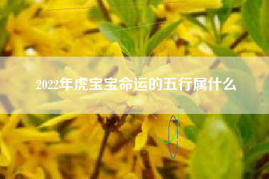 2022年虎宝宝命运的五行属什么