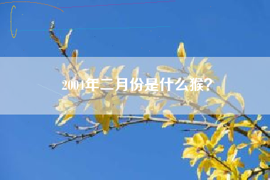 2004年二月份是什么猴？