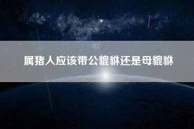 属猪人应该带公貔貅还是母貔貅