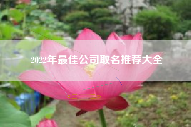 2022年最佳公司取名推荐大全