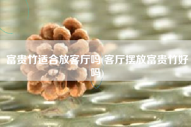 富贵竹适合放客厅吗(客厅摆放富贵竹好吗)