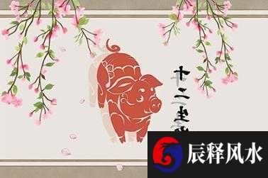 87年属兔的命运 丁卯火兔之命