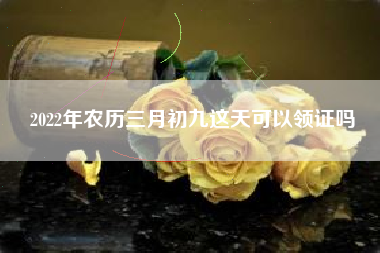 2022年农历三月初九这天可以领证吗