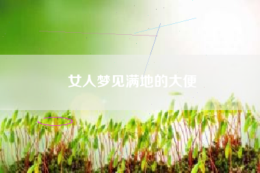 女人梦见满地的大便