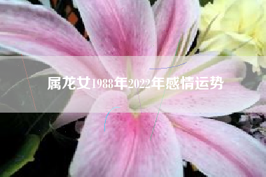 属龙女1988年2022年感情运势