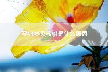 孕妇梦见核桃是什么意思