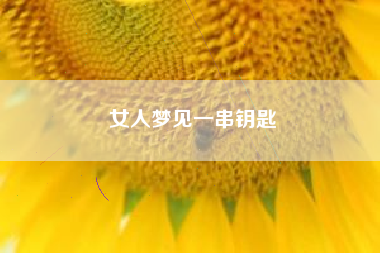 女人梦见一串钥匙