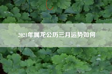2021年属龙公历三月运势如何