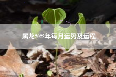 属龙2022年每月运势及运程