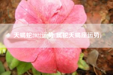 天蝎蛇2022运势(属蛇天蝎座运势)