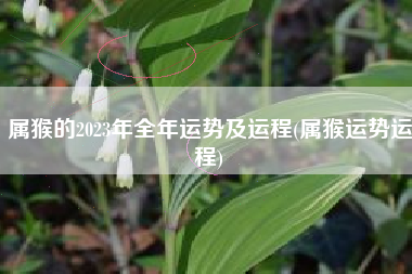 属猴的2023年全年运势及运程(属猴运势运程)