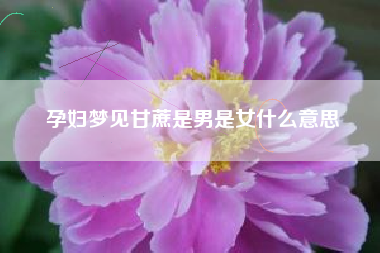 孕妇梦见甘蔗是男是女什么意思