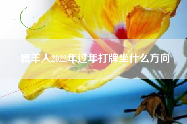 属羊人2022年过年打牌坐什么方向