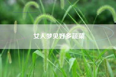 女人梦见好多蔬菜