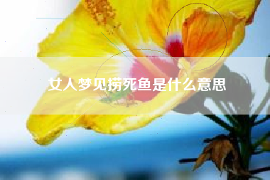 女人梦见捞死鱼是什么意思