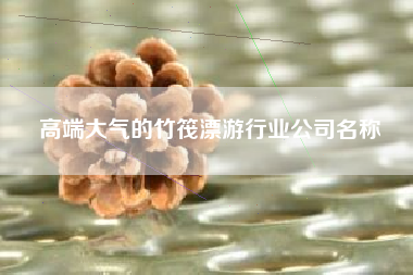 高端大气的竹筏漂游行业公司名称