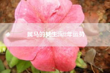属马的女生2022年运势