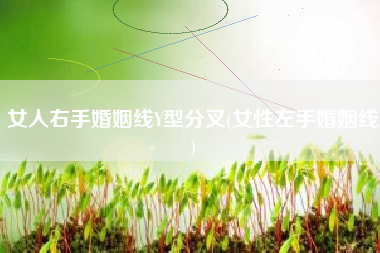 女人右手婚姻线Y型分叉(女性左手婚姻线)
