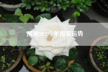 预测2022今年国家运势