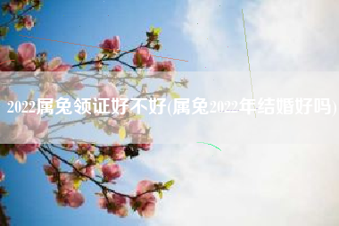 2022属兔领证好不好(属兔2022年结婚好吗)