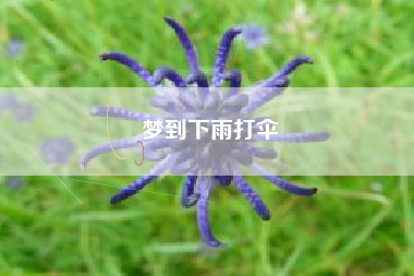 梦到下雨打伞