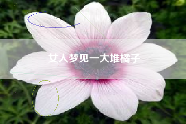 女人梦见一大堆橘子